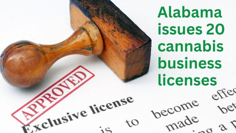 Alabama Issues 20 Cannabis Business Licenses | My Marijuana Card