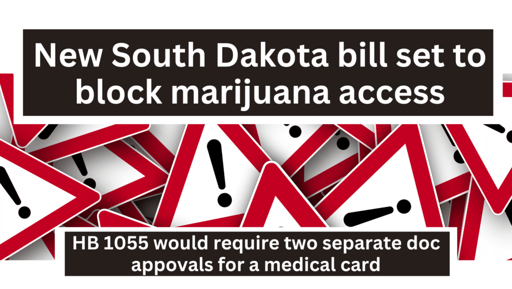 South Dakota House Bill 1055 HB 1055 HB1055 to block marijuana access stop cannabis